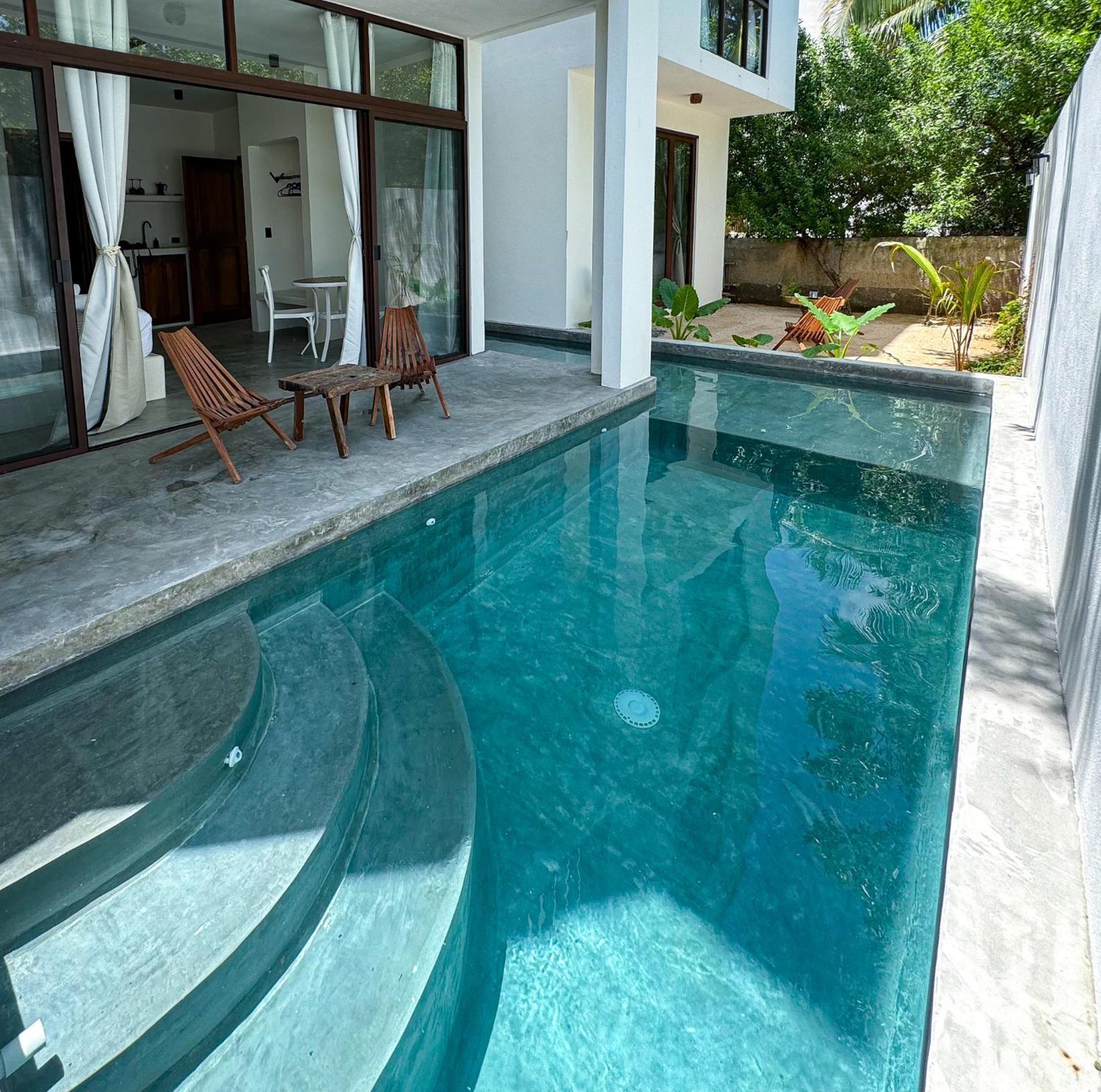 Coccoloba Holbox